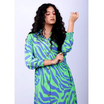 Zebra Pop Button Up Dress